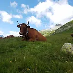 Tgesa Felici